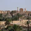 Toàn cảnh thành cổ Palmyra. (Nguồn: AFP/TTXVN)