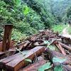 Quảng Ngãi cần làm rõ việc khai thác gỗ tại dự án hồ Nước Trong