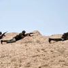 Binh sỹ Syria giao tranh với IS tại khu vực đông bắc thành phố cổ Palmyra ngày 17/5. (Nguồn: AFP/TTXVN)