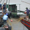 Ngư dân đang khẩn trương neo đậu tàu thuyền tại xã Thái Thượng, huyện Thái Thụy, Thái Bình để tránh trú bão số 1. (Ảnh: Thu Hoài/TTXVN)