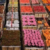 Các loại hoa tại Trung tâm bán đấu giá hoa Aalsmeer ở Aaslmeer (Hà Lan). (Nguồn: THX/TTXVN)