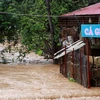 Lũ ngập tràn bờ tại phường Chiềng An, xã Chiềng Xôm, thành phố Sơn La. (Ảnh chụp lúc 9g17 phút sáng 2/8). (Ảnh: Điêu Chính Tới/TTXVN)