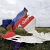 Mảnh vỡ máy bay MH17 ở Shaktarsk,, vùng Donetsk, miền Đông Ukraine ngày 18/7/2014. (Nguồn: AFP/TTXVN)