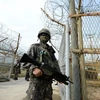 Binh sỹ Hàn Quốc gác gần hiện trường vụ nổ mìn tại khu phi quân sự giữa hai miền Triều Tiên. (Nguồn: AFP/TTXVN)