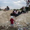 Người di cư tại khu vực Presevo, Serbia ngày 25/8. (Nguồn: AFP/TTXVN)