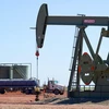 Giếng dầu gần Tioga, Bắc Dakota, Mỹ ngày 19/8/2013. (Nguồn: AFP/TTXVN)