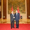 Phó Thủ tướng Trung Quốc Trương Cao Lệ đón Phó Thủ tướng Nguyễn Xuân Phúc. (Ảnh: Yến Kiên/TTXVN)