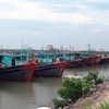 Tàu thuyền của ngư dân ở Móng Cái đã về nơi trú ẩn an toàn. (Ảnh: Văn Đức/TTXVN)