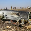 Mảnh vỡ máy bay A321 tại hiện trường vụ rơi ở Hassana thuộc thành phố Arish, phía bắc Ai Cập ngày 1/11. (Nguồn: THX/TTXVN)