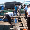 Mô hình nuôi cá lồng bè trên biển đem lại lợi nhuận cao cho ngư dân xã Hòn Thơm, huyện Phú Quốc. (Ảnh: Lê Sen/TTXVN)