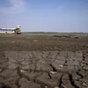 Đáy hồ Aleixo ở khu vực Manaus, Amazonas, Brazil nứt nẻ do hạn hán ngày 23/10. (Nguồn: AFP/TTXVN)