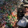 Công nhân phân loại các chai nhựa phế thải tại một cơ sở tái chế ở Hợp Phì, tỉnh An Huy, Trung Quốc. (Nguồn: AFP/TTXVN)