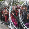 Người di cư và tị nạn tại khu vực hàng rào biên giới giữa Hungari và Serbia ngày 16/9. (Nguồn: AFP/TTXVN)