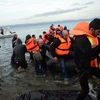 Người di cư tới đảo Lesbos của Hy Lạp sau hành trình vượt biển Aegean từ Thổ Nhĩ Kỳ ngày 24/11. (Nguồn: AFP/TTXVN)