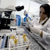 Chuyên gia phân tích mẫu máu nhằm phát hiện virus Zika tại phòng thí nghiệm ở Rio de Janeiro, Brazil ngày 25/1. (Nguồn: AFP/TTXVN)