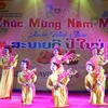 Chương trình văn nghệ đón Xuân. (Ảnh: Phạm Kiên/Vietnam+)