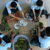 Cán bộ và chiến sỹ trên đảo Nam Yết, huyện Trường Sa, tỉnh Khánh Hòa tổ chức gói bánh chưng. (Ảnh: Quốc Khánh/TTXVN)