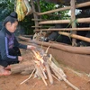 Người dân bản Tò Lọ, xã Chiềng Đen, thành Phố Sơn La, đốt lửa sưởi ấm cho gia súc. (Ảnh: Công Luật/TTXVN)