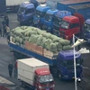  Xe tải của Trung Quốc chờ làm thủ tục tại trạm kiểm soát của hải quan ở thị trấn cửa khẩu Dandong, giáp giới với thị trấn Sinuiju của Triều Tiên ngày 3/3. AFP/TTXVN