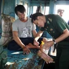 Quân y Biên phòng tỉnh Sóc Trăng chăm sóc sức khỏe cho ngư dân bi nạn. (Ảnh: Trung Hiếu/TTXVN)