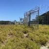 Hàng rào dây thép gai tại nhà tù của Mỹ trên Vịnh Guantanamo, Cuba ngày 9/3. (Nguồn: AFP/TTXVN)