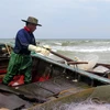 Ngư dân xã Kỳ Ninh, thị xã Kỳ Anh, tỉnh Hà Tĩnh vận chuyển sứa lên bờ để đưa đi tiêu thụ. (Ảnh: Công Tường/TTXVN)