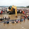 Việc cá voi xuất hiện đã thu hút hàng ngàn người dân địa phương đến xem và giải cứu cá. (Ảnh: Tá Chuyên/TTXVN)