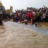 Các lực lượng chức năng cùng người dân nỗ lực giải cứu cá voi mắc cạn tại bờ biển xã Diễn Thịnh, Nghệ An ngày 25/5. (Ảnh: Tá Chuyên/TTXVN)