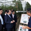 Thủ tướng Nguyễn Xuân Phúc đến thăm nông trại Yokoyama. (Ảnh: Thống Nhất/TTXVN)