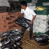 25 tấn cá nục bị nhiễm độc Phenol trong kho lạnh của bà Lê Thị Thuộc, thị trấn Cửa Tùng. (Ảnh: Thanh Thủy/TTXVN)
