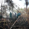 Phun nước dập đám cháy rừng trong Vườn quốc gia U Minh Hạ ngày 28/4. (Ảnh: Huỳnh Thế Anh/TTXVN)