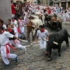 Những màn rượt đuổi "thót tim"của các chú bò tót trong lễ hội San Fermin ở Pamplona ngày 8/7. (Nguồn: AFP/TTXVN)