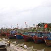 Các tàu cá tại cảng cá Tân Sơn (huyện Thái Thụy, Thái Bình) neo đậu an toàn. (Ảnh: Thu Hoài/TTXVN)