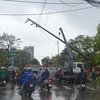 Cột điện trước cổng trường Đại học Y dược Thái Bình bị đổ gục. (Ảnh: Thu Hoài/TTXVN)