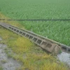Cột điện bị đổ sau bão trên ruộng lúa tại huyện Vũ Thư, tỉnh Thái Bình. (Ảnh: Thu Hoài/TTXVN)