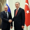Tổng thống Nga Vladimir Putin và người đồng cấp Thổ Nhĩ Kỳ Tayip Erdogan. (Nguồn: Sputnik)