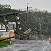 Nhiều cột điện bị quật đổ khi cơn bão Meranti quét qua vùng lãnh thổ Đài Loan ngày 14/9. (Nguồn: AFP/TTXVN)