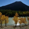 [Photo] Ngắm mùa Thu vàng đã về trên vùng núi Altai của Nga