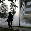 Nhân viên y tế phun thuốc diệt muỗi truyền virus Zika tại khu vực Aljunied, Singapore ngày 28/8. (Nguồn: AFP/TTXVN)