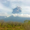 Núi lửa Barujari phun trào một cột tro bụi. (Nguồn: Reuters)