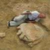 Dâu chân khủng long khổng lồ. (Nguồn: phys.org)