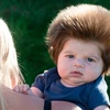 Mái tóc đáng kinh ngạc của Baby Bear. (Nguồn: Mirror.co.uk)