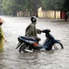 Ngập lụt nghiêm trọng khiến nhiều xe máy khi lưu thông trên đường Duy Tân, thành phố Vinh bị chết máy (Ảnh chụp lúc 8 giờ sáng 15/10). (Ảnh: Tá Chuyên/TTXVN)