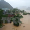 Nhiều nhà dân ở Quảng Bình bị nhấn chìm trong biển nước do mưa lũ. (Ảnh: Đức Thọ/TTXVN)