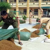 Lực lượng công an giúp người dân phơi lúa tại Trường Tiểu học Thạch Lâm, huyện Thạch Hà. (Ảnh: Công Tường/TTXVN)
