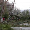 Cây cối bị gãy đổ do gió lớn trong bão Haima tại Tuguegarao, tỉnh Cagayan, Philippines ngày 20/10. (Nguồn: THX/TTXVN)