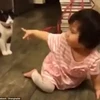 Clip "mèo ngáng chân em bé" khiến người xem không nhịn được cười