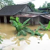 Nhà dân thị trấn Cam Lộ, huyện Cam Lộ ngập sâu trong biển nước. (Ảnh: Thanh Thủy/TTXVN)