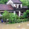 Hàng nghìn nhà dân ở huyện Tuy An và Đồng Xuân bị ngập. (Ảnh: Thế Lập/Vietnam+)