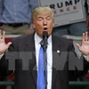 Ông Donald Trump trong chiến dịch vận động tranh cử ở Concord ngày 3/11. (Nguồn: AP/TTXVN)